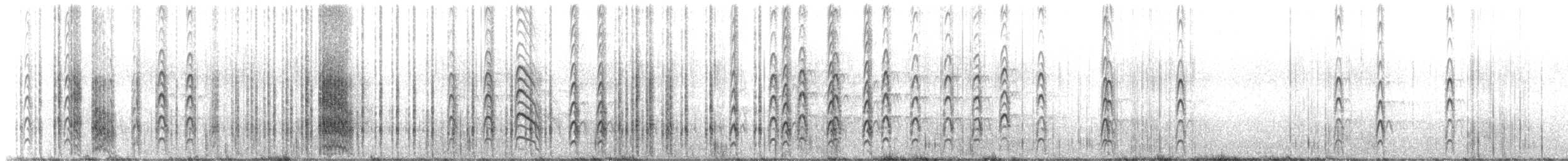 rybák jižní (ssp. georgiae) - ML644219806