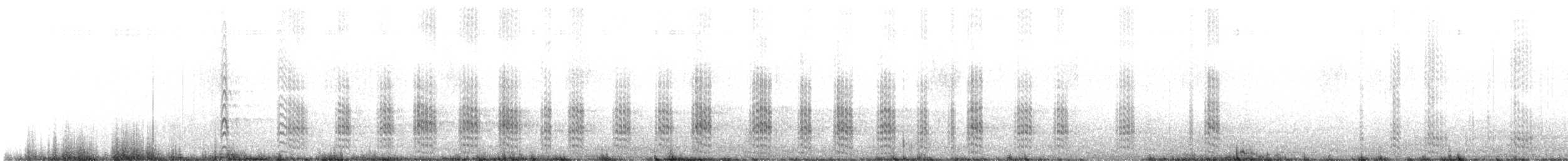 rybák jižní (ssp. georgiae) - ML644219861