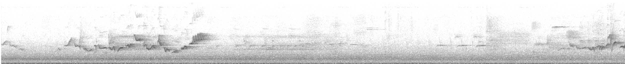 Warbling Vireo (Eastern) - ML644219968