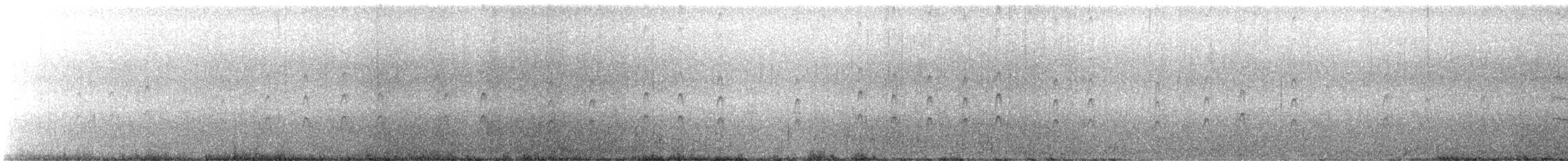 rybák jižní (ssp. georgiae) - ML644219991