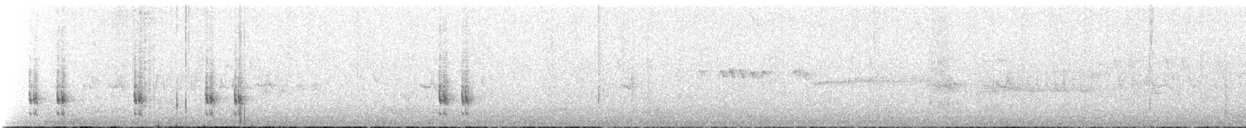 フォークランドミソサザイ - ML644220218