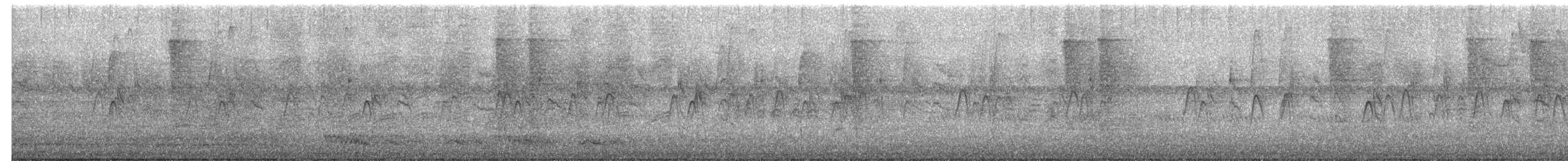 Brown-headed Nuthatch - ML644220259