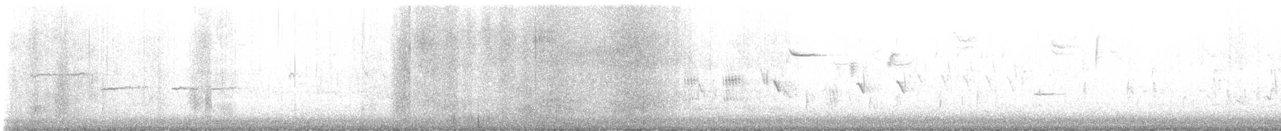 new world sparrow sp. - ML644220651