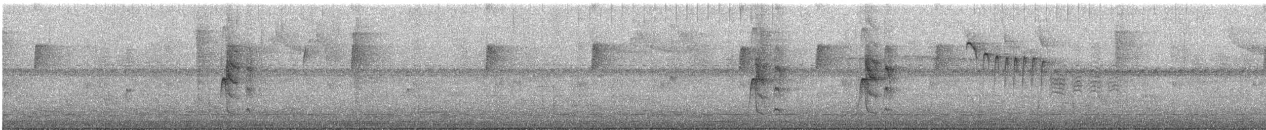 Brown-headed Nuthatch - ML644220985