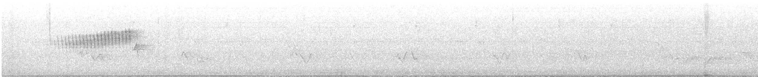 Очковая древесница - ML644221726