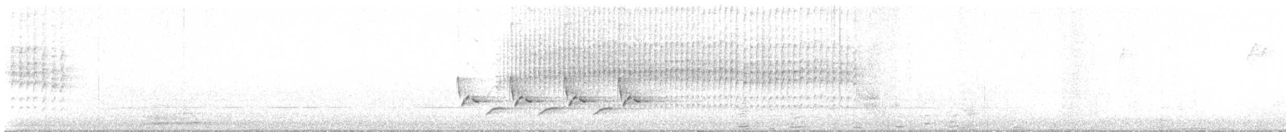 Carolina Wren - ML644222731