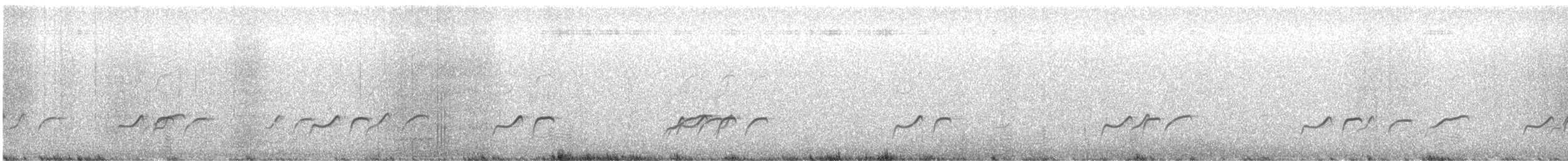 Pratinkola australiarra - ML644223818