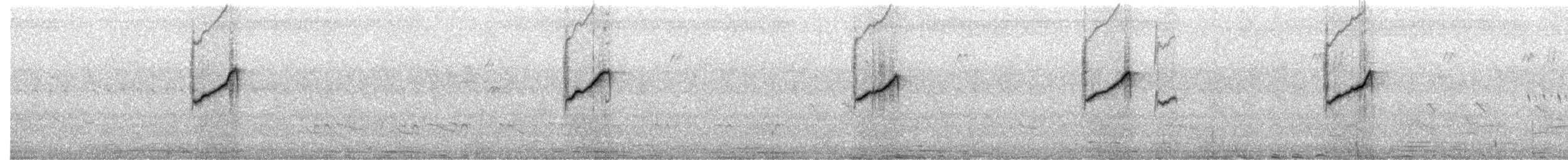 strdimil obojkový - ML644223819