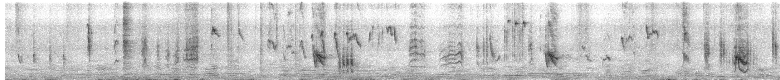 Souimanga à ventre jaune (igneiventris) - ML644224238