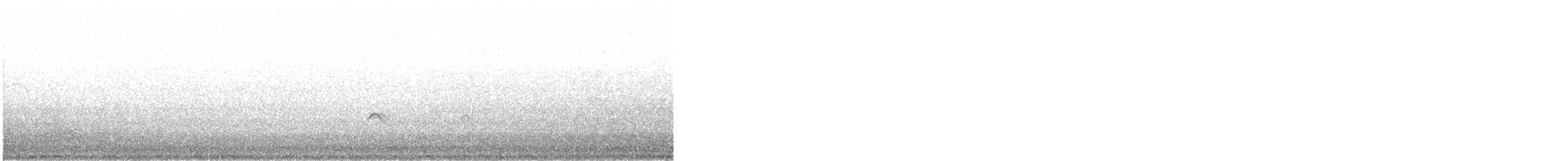 Little Ringed Plover - ML644225295