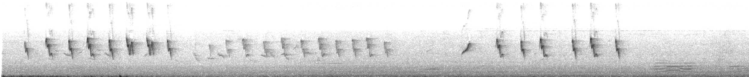 Canary Islands Chiffchaff - ML644226946