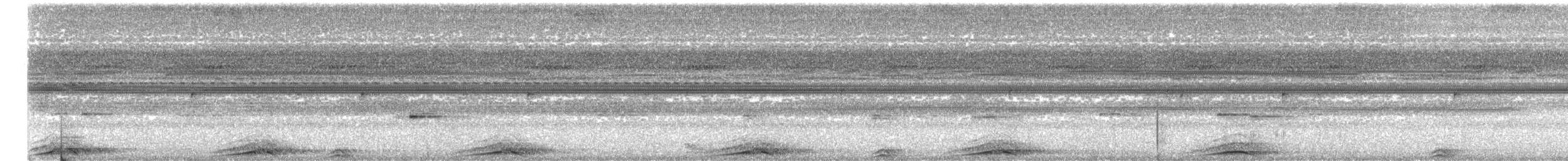 Zebrakauz - ML644227225