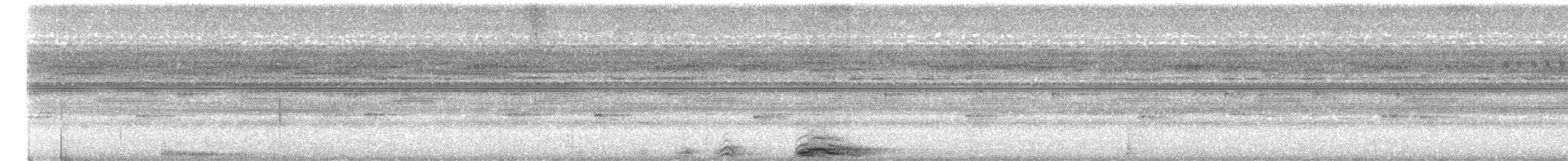 Zebrakauz - ML644227230