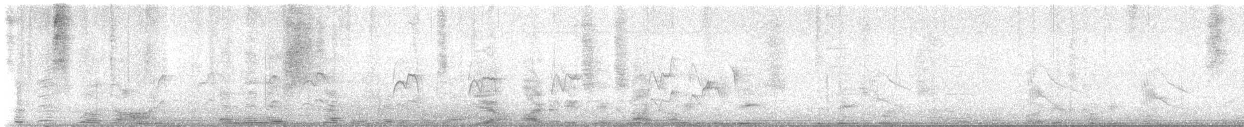 Couch's Kingbird - ML644227759