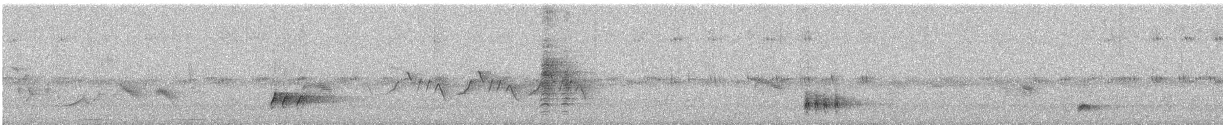 Falkennachtschwalbe - ML644228277