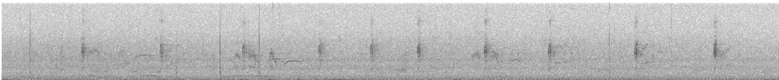 Picazurotaube - ML644228288