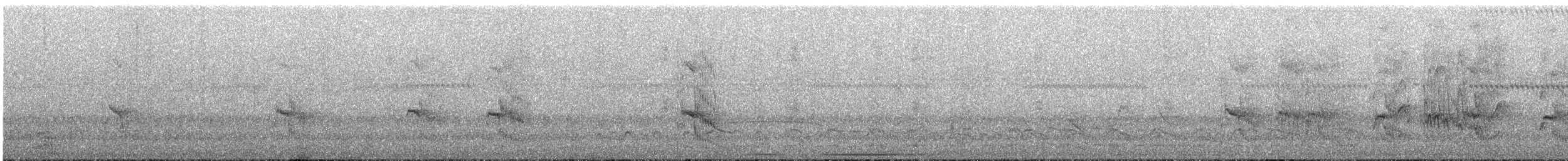 Starkschnabel-Maskentyrann - ML644228319