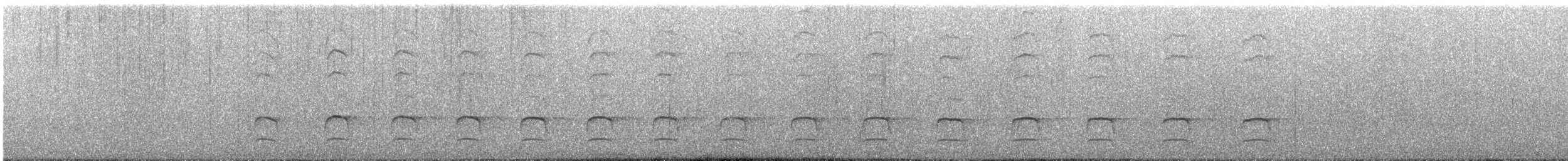 Grünbindenspecht - ML644228454