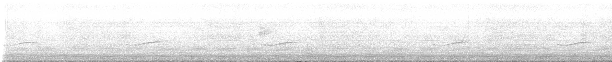 Hellbauch-Schnäppertyrann - ML644229203