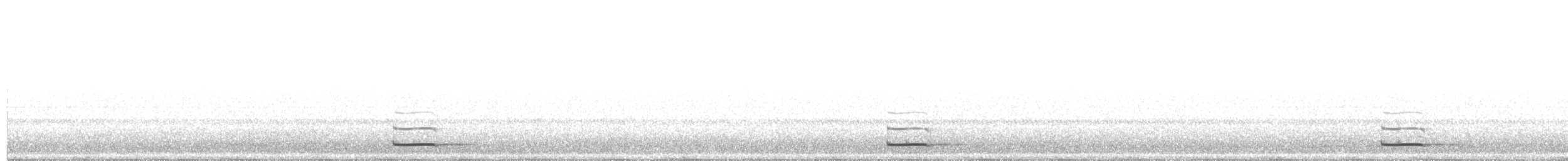 שעיר מצוי - ML644229208