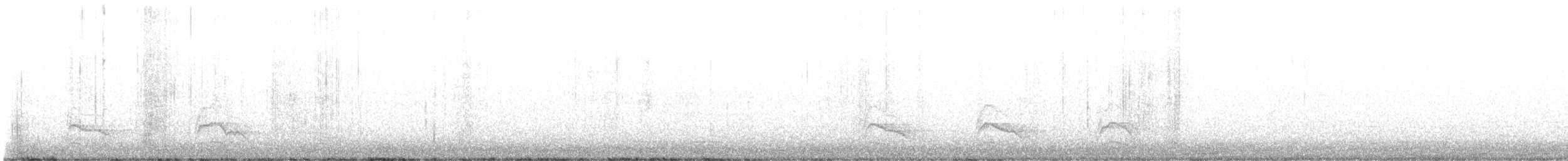 Red-shouldered Hawk - ML644229703