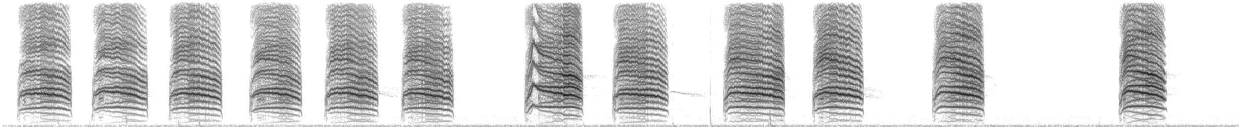 Cuitlacoche Rojizo - ML644230225