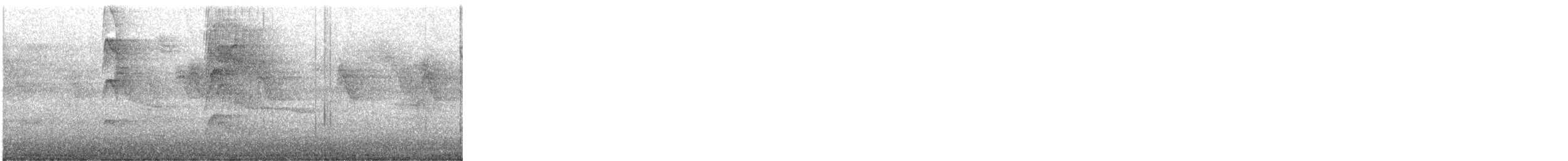 Slaty-capped Flycatcher - ML644232065