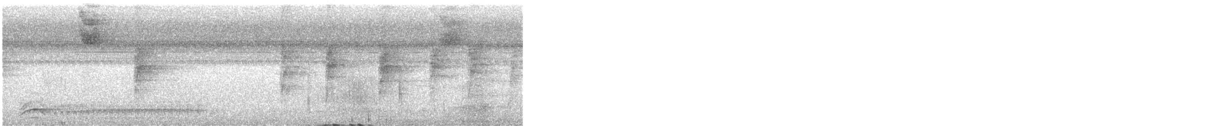 Black-crowned Antshrike - ML644232441