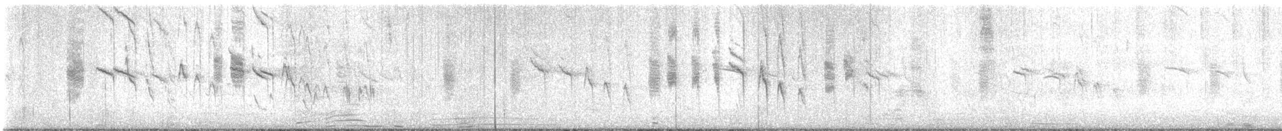 Red-tailed Comet - ML644232531