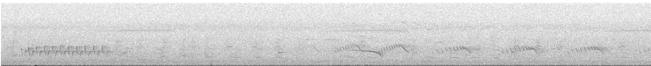 Rufous Whistler - ML644232721