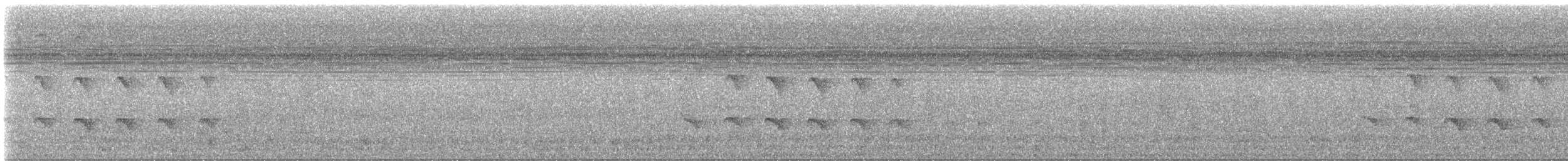 Zeledon's Antbird - ML644232730