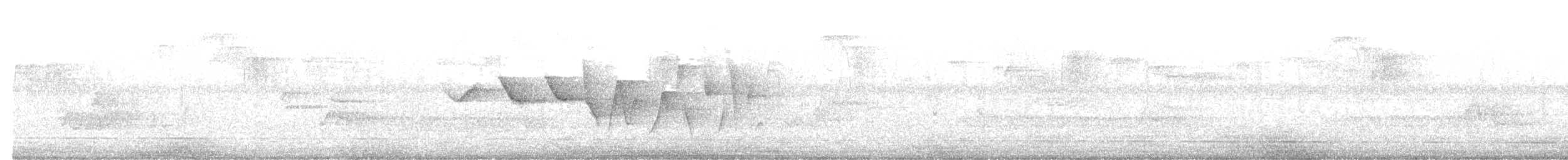 Louisiana Waterthrush - ML644232864