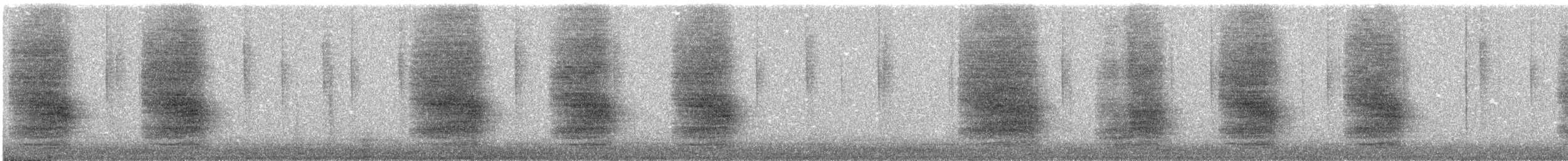 Steller's Jay - ML644233165