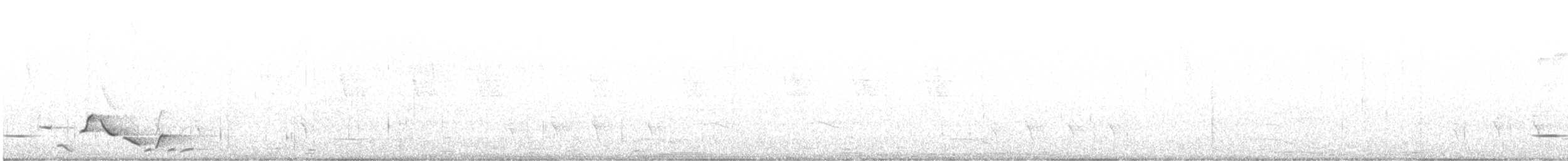 Whiskered Wren - ML644233423