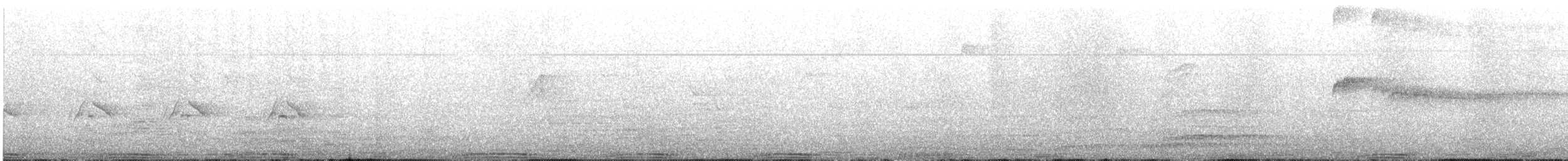 カワラバト（ドバト、家畜型） - ML644233783