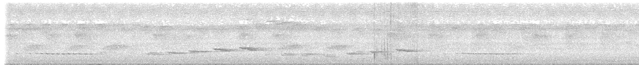 Square-tailed Drongo-Cuckoo - ML644234374