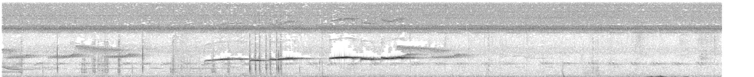 Plaintive Cuckoo - ML644234814