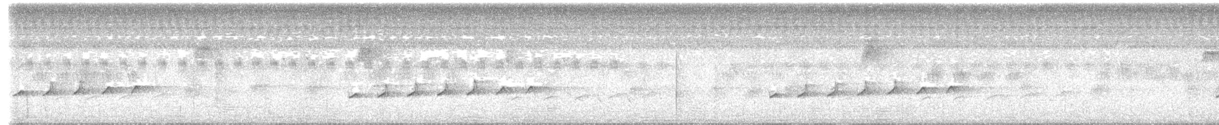 Square-tailed Drongo-Cuckoo - ML644235700