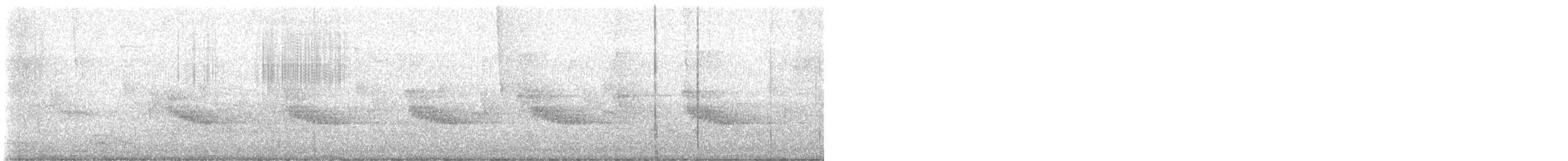 Carolina Wren - ML644236112