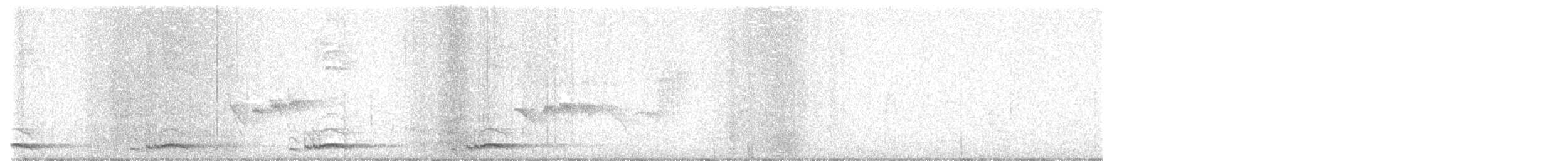 Necklaced Barbet - ML644236463