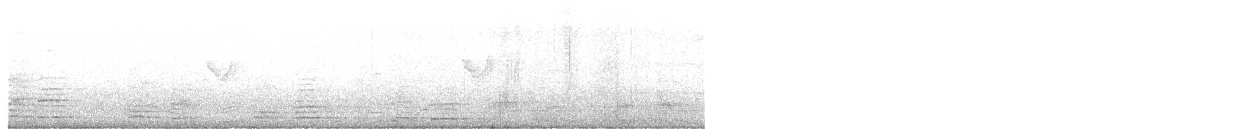 Mosquitero Bilistado - ML644237186