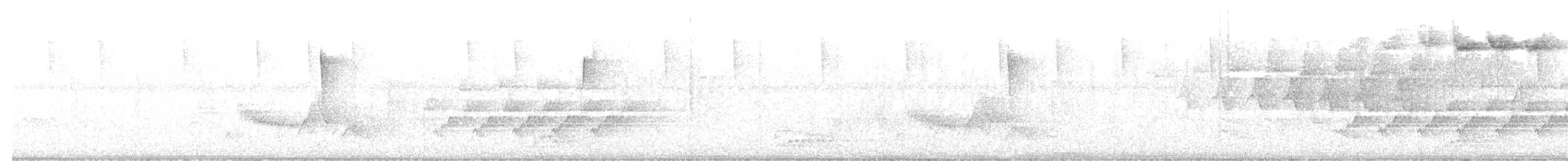 Blackpoll Warbler - ML644237190