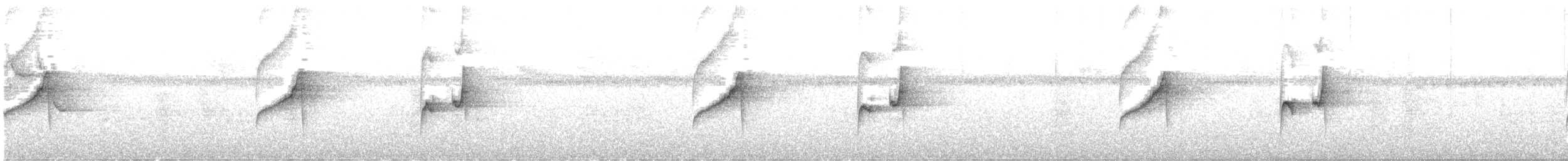 Gray-bellied Spinetail - ML644237579