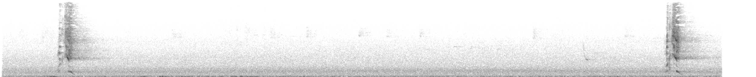 Yellow Wattlebird - ML644237641