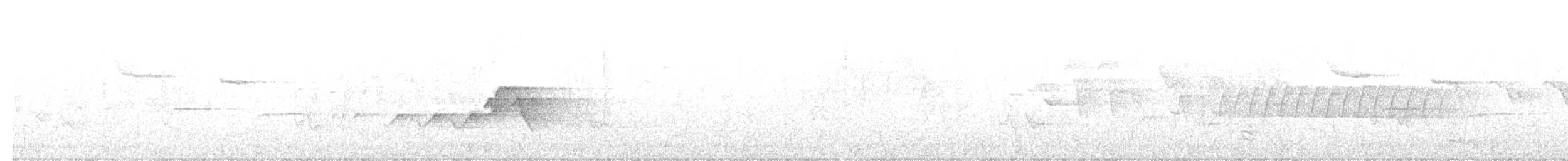 Капюшоновая древесница - ML644238287