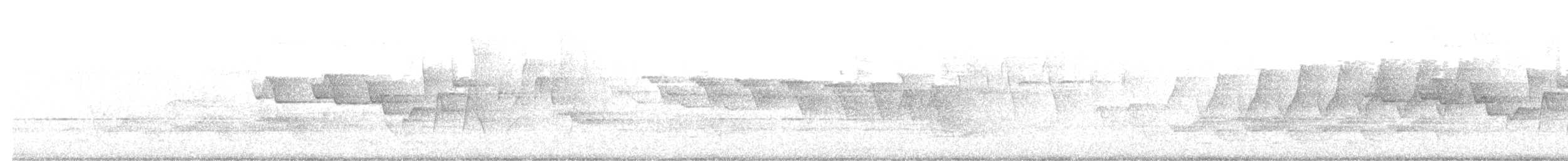 Louisiana Waterthrush - ML644238372