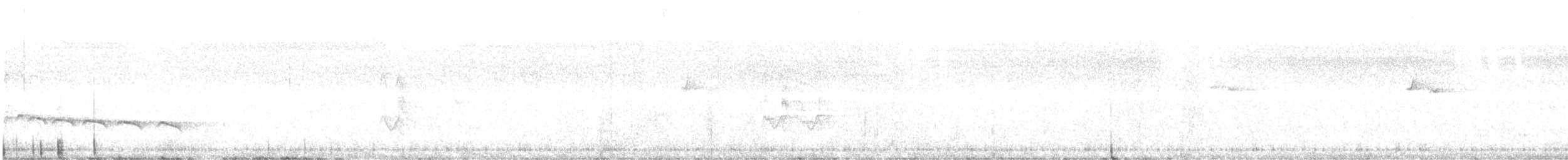 pygmégjøk - ML644238956