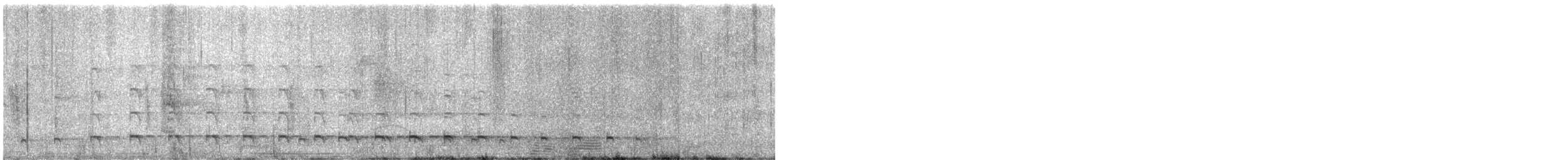 ibis běločelý - ML644239179