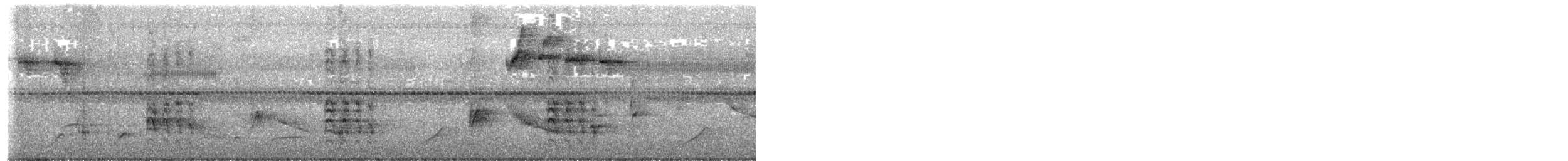 Golden-fronted Woodpecker (Velasquez's) - ML644239573