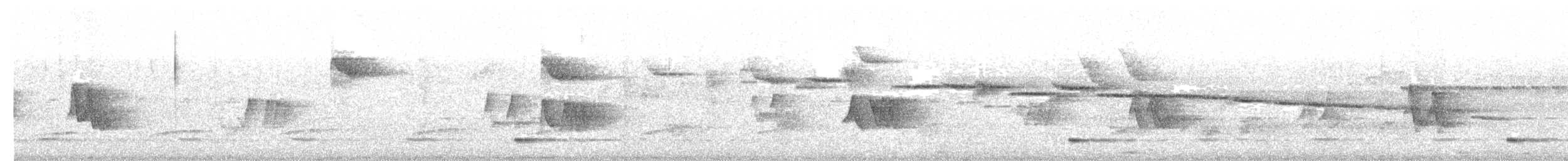 Viréo chivi - ML644239848